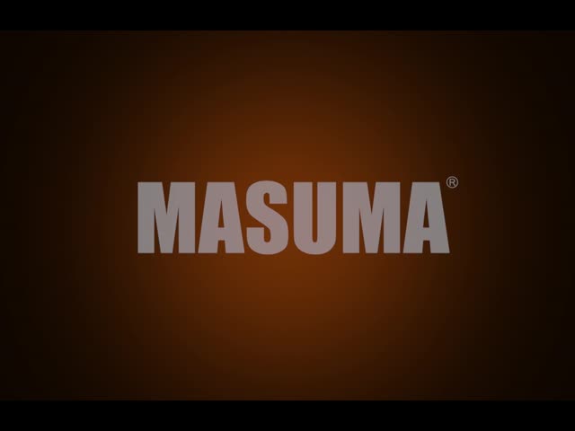 87*99*26mm S508IP MASUMA イリジウムプラチナスイッチプラグ 101905611G 4560116440351 VW GOLF向け