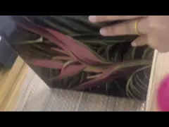 Красочное церковное витражное стекло Окна СКК video