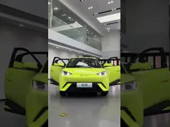 Byd Seagull fluorescent green