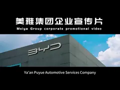 China Normal Cruise Control and Rear Camera Customizable 2024 Magotan GTE for FAW Volkswagen supplier