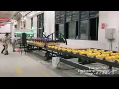 Automatic 800kg Loading Unloading Machine Steel Roller Conveyor With Safety Sensors video