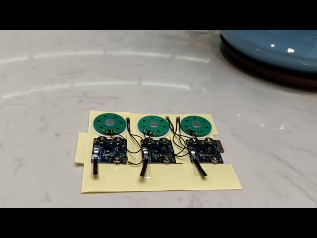 ROHS Certified Recordable Sound Module with Acceptable Custom Sound Duration