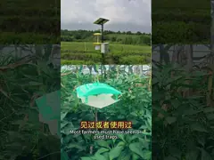 AcNPV Bt Биологические инсектициды для борьбы с капустой, белой мотылькой, свеклой и армейскими червями video