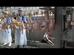 Sebuah bentuk plucker