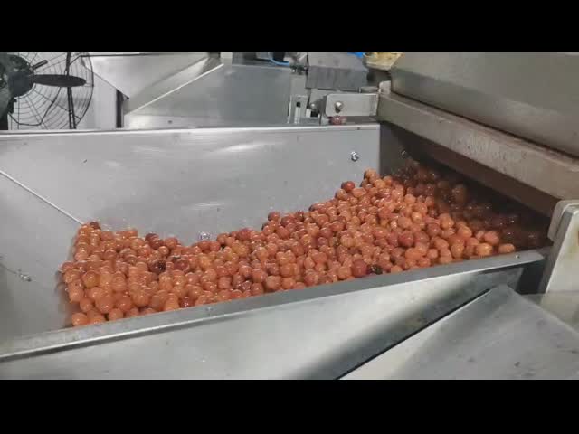 Máquina detectora de metais para alimentos IP67, máquina para alimentos de raios X para animais de estimação enlatados
