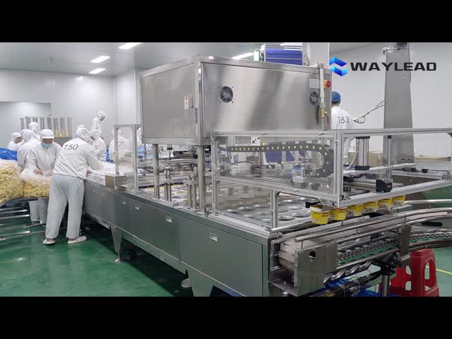 1Ph 220V 50Hz Automatic Packaging Line Automated Snacks Packaging Machine