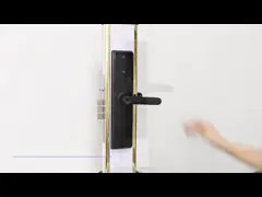 S829MAX Wifi Camera Lock Tuya APP Digital Viewer Lock Biometric Fingerprint Smart Door lock Khóa cửa thông minh