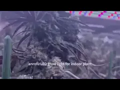 1200 Вт полный спектр светодиодный свет для роста Приглушимое 2400 * 1100 мм Размер полный спектр напольная лампа для растений video