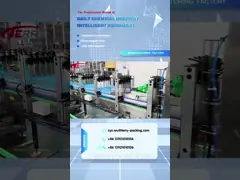 Boxing verpakkingsmachine naaisi