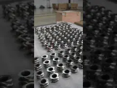 Co-rotating parallel twin-screw extruder screw elements delivery