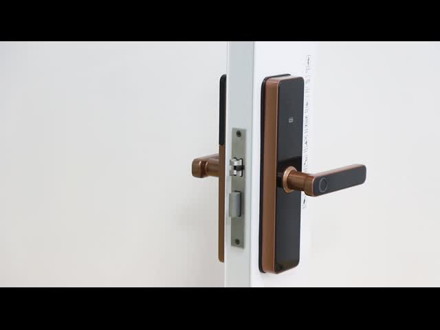 Qleung S811 高品質 スマート デジタル 指紋 ドア 錠 Tuya Wifi TTlock リモコン スマート ホーム ドア 錠