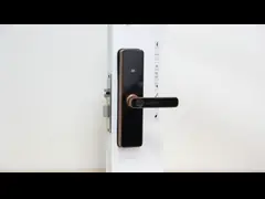 Qleung S811 High Quality Smart Digital Fingerprint Door Lock Tuya Wifi TTlock Remote Control Smart Home Door Lock