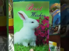 Factory Hot Sale Custom Kpop 3D Lenticular Printing Postcard/ Business Card