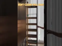 Removable MDF Unit Kitchen Cabinet Accessories 304SUS Pull Out Baskets