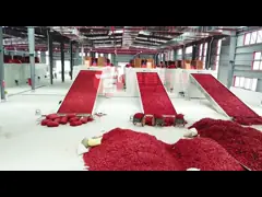 Высокая температура машины для просушки перца Chili пояса сетки нержавеющей стали устойчивая video