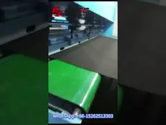 Двойная машина 4м пунша иглы хода для ковра/Гео-тканей/Рагс video