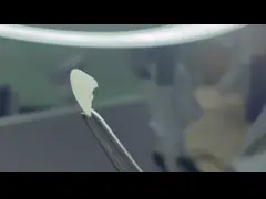 EMAX Порцелановый фанера с стойкостью к пятнам для естественных эстетических реставраций video