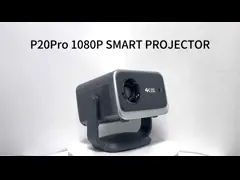 P20프로