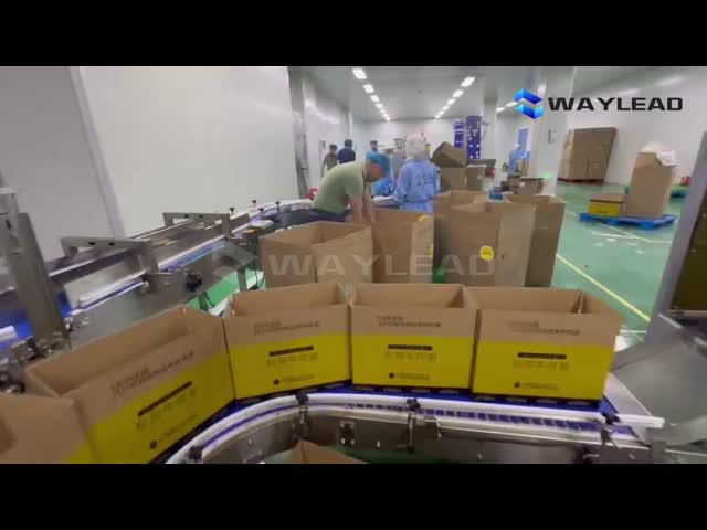 Полностью автоматическая картонировка и палетная упаковка закусок видео