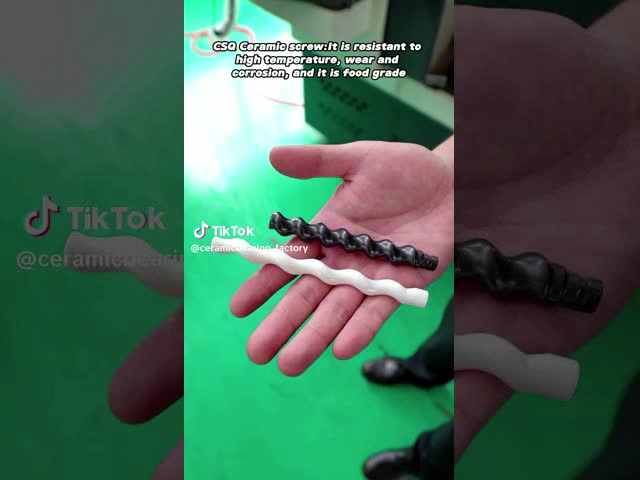 Одиночное/двойное подгонянное керамическое ротора насоса винта