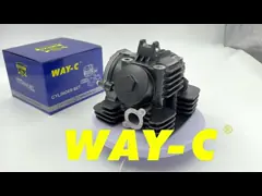 N6010010 Мотоциклетная головка цилиндра для двигателя TVS HLX PLUS 100 video