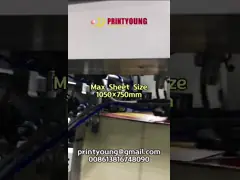 Автоматическая плоскостольная горячая штамповка с глубокой рельефной резьбой различных бумаг video