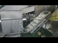 Дегидратированные фруктовые чипсы непрерывный ленточный сушильщик Авокадо Персики сливы Сушильная система video