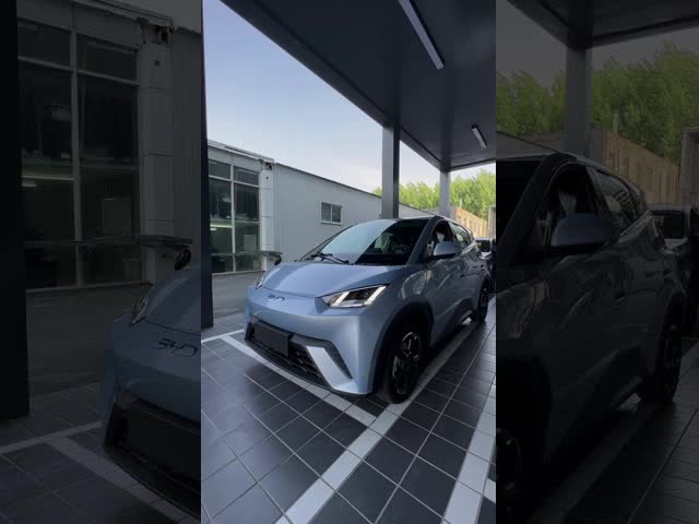 5-дверный 4-местный Beibing Blue Electric BYD Seagull Hatchback с элементами безопасности видео