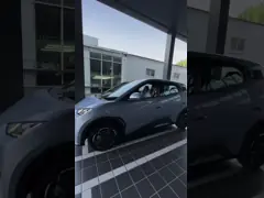 5-дверный 4-местный Beibing Blue Electric BYD Seagull Hatchback с элементами безопасности video