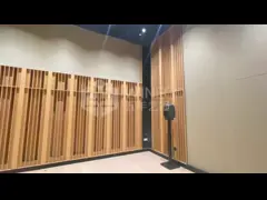 Zhuhai Jinwan Aviation City Citizen's Art Center-Recording room
