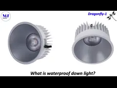 38 Вт 3 года гарантии светодиодный свет IP65 водонепроницаемый пылестойкий 100lm / W 5700K высокая яркость для ресторана video