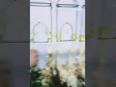 Voor het slachthuis voor kippen, eenden, ganzen en vogels is 304 roestvrij staal gebruikt.