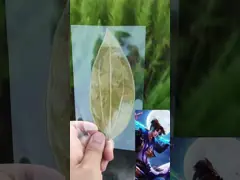 ACMER S1 Mini Portable Laser Engraver,2500mw laser output,130*130mm working area