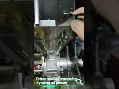 Машина прессы масла семени электрического контроля коммерчески с гарантией 1 года video