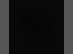 234W 1000V moduł IGBT 2 niezależne NXH450B100H4Q2F2SG bez ołowiu