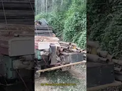 Rig de forage de puits d'eau profonde / de puits de forageTruck monté
