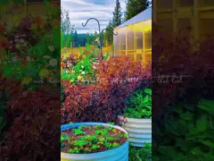 ISO сертифицированный U-образный поднятый садовый кровать 7 * 8,4 * 1,4 футов Металлический поднятый цветочный кровать video