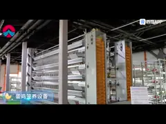 Pre Engineered Livestock Farm House Chicken Steel Structure Warehouse