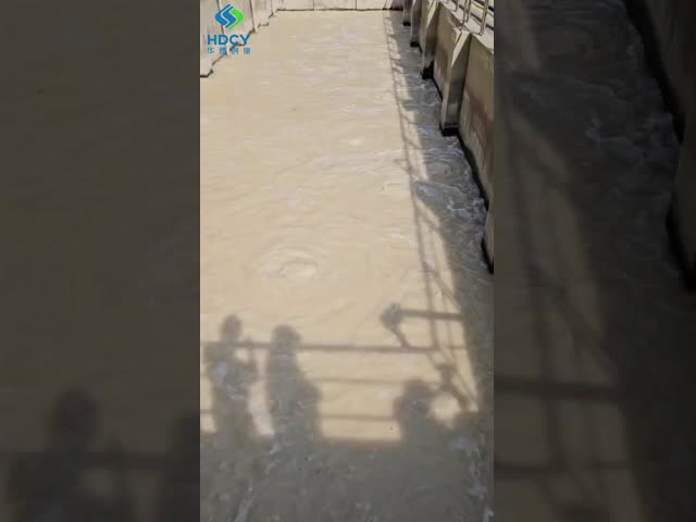 60 Mld Sewage Treatment Plant With 1000 Liters Per Hour Central Blue Plains Sewage Treatment Plant