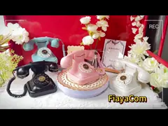 Особые случаи Голосовая гостевая книга Свадьба 32 ГБ Заполняемое записанное сообщение Гостевая книга video