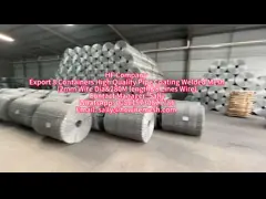 2.0mm Wire Diameter Hot Dipped Galvanized Pipeline Reinforced Welded Wire Mesh For Pipe Use