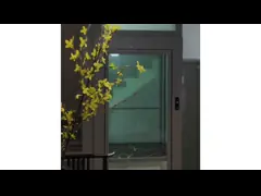 China Villa Traction Safe Home Elevator 0.6 M/S Single / Three Phase Power Supply for sale