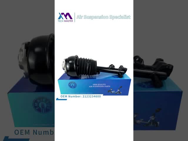 Benz W166 1663201313 1663201413 de Front Air Shock For Mercedes do carro