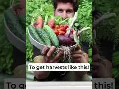 Нержавеющая 5ftx6ft огурцов металлическая решетка для садов поднятых кровать металлическая овощная решетка video