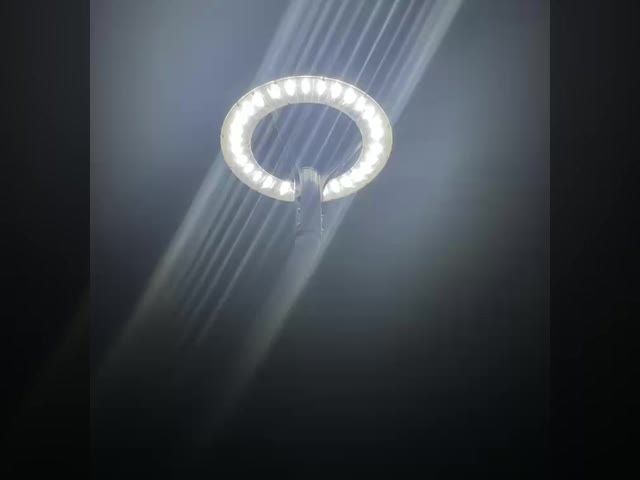 IP66 5 Years Warranty Post Top Led Garden Light 30w-100w For Courtyard Landscape Lighting  For Gardens And Parks