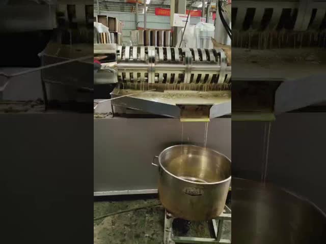 Прочный холод машины прессы масла винта - отжатая высокая эффективность машины арахисового масла видео