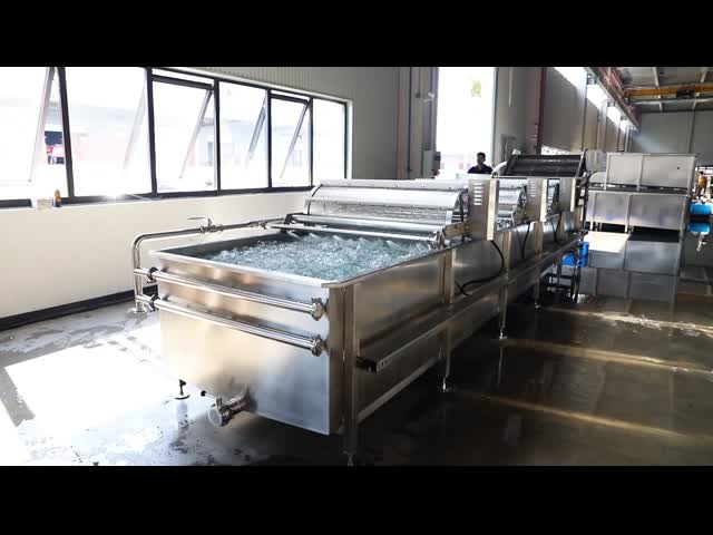 Energy Saving Automatic Pepper Vegetable Washing Machine CE