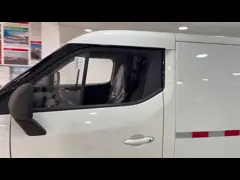 Karry Dolphin EV 5 Doors 2 Seats Electric Logistics Minivan New Energy Truck for Urban Transport Household Use