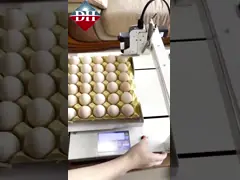 Маленький струйный принтер для яиц Xy Axis Интеллектуальный струйный принтер для яиц video