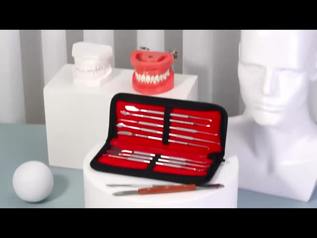 Double-Ended Dental Sculpture Knife Stainless Steel 10pcs/ Set Dental Wax Carving Tools